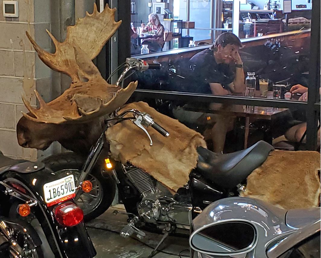 Also belonging to Macklemore was a "moose" motorcycle.