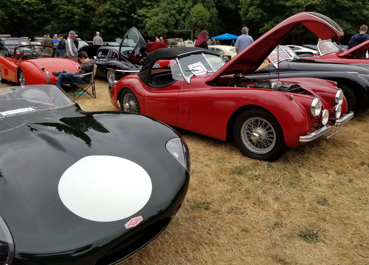 Art's D-Type and red 1954 XK120 belonging to Jeral Godfrey.